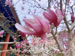 -颐和园