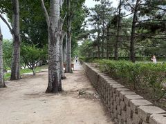 -元大都城垣遗址公园