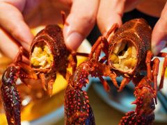 -同福龙虾(高新店)