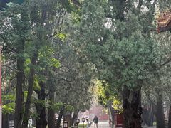 -北京国子监胡同