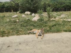 -西安秦岭野生动物园