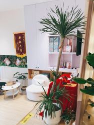 点击看大图 -森林头疗美容养发馆