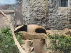 -石排湾郊野公园