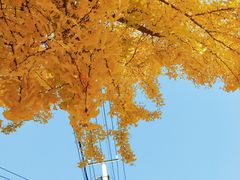 -连云港民主路老街