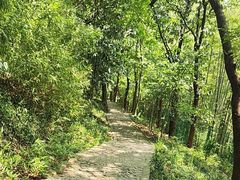 -上海佘山国家森林公园西佘山园