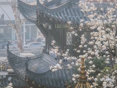 -长春观