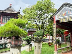 -碧江金楼