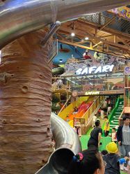 -卡通尼·Safari非洲探索乐园·生日会(金桥国际商业广场店)