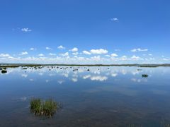 -花湖生态旅游区