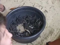 -马达京岛