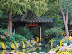 -杭州植物园