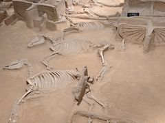 -洛阳周王城天子驾六博物馆