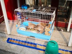 -华声天桥民俗文化园