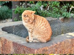 -龙华寺
