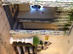 孔雀手植物美甲(城西银泰店)-孔雀手美甲美睫护理