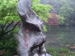 CIMG0067-九溪烟树