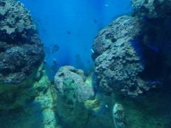 -福州罗源湾海洋世界旅游区