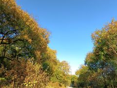 -北京西山国家森林公园