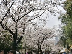 -鸡鸣寺