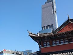 -紫峰大厦
