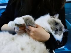 -零纪元VR体验馆·桌游(黄浦店)