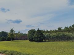 -永定河休闲森林公园