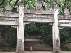-灵谷景区
