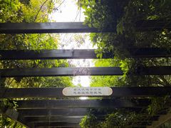 -九龙潭景区