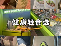 -油梨树AVOCADO TREE(顺义新国展店)