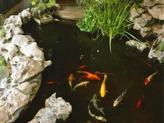 景观位-道南書院·私房菜·早午茶·茶馆