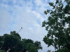 -成都银泰中心in99