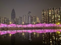 -西北湖绿化广场