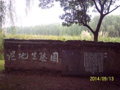 -昆山城市生态森林公园