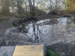 -千岛湖东南湖区