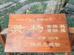 景点-口岸雕花楼