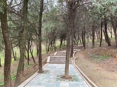 -华清宫景区