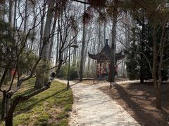 -仁和公园(顺义区)
