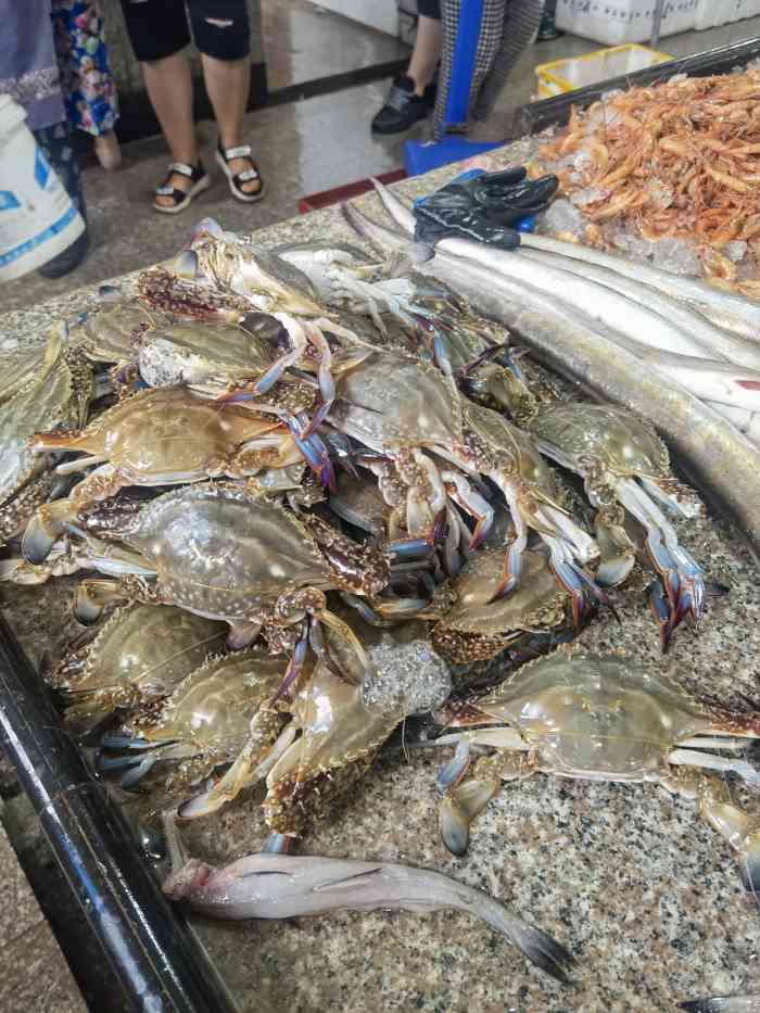 嵊山水产品市场-"来枸杞岛必须要吃的还是海鲜,毕竟这里的海.