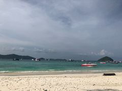 -珊瑚岛