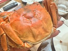 -曼格纳·曼芯馆(杨浦店)