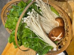 -同仁四季椰子鸡(宝安壹方城店)