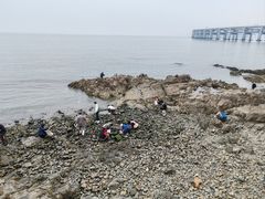 -银沙滩浴场