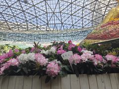 -花之城