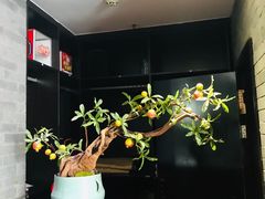 -唐廊烤鸭店(工体店)