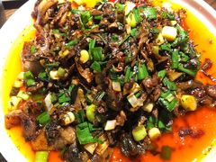 -九锅一堂酸菜鱼(新南凯德直营店)