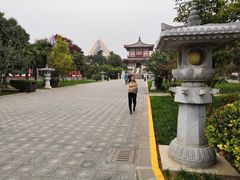 -法门文化景区