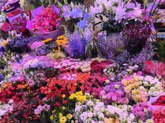-花鸟鱼虫鲜花绿植市场(玉泉路店)