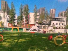 -爪吧宠物乐园 (温榆河示范区店)