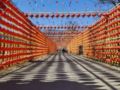 -北京凤凰岭