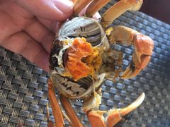 -荣誉国际酒店-云顶旋转餐厅